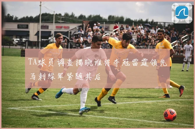 TA球员调查揭晓谁将夺冠雷霆领先马刺绿军紧随其后