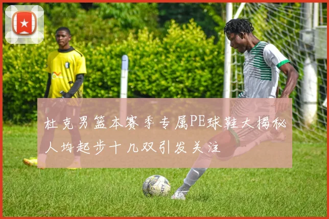 杜克男篮本赛季专属PE球鞋大揭秘人均起步十几双引发关注
